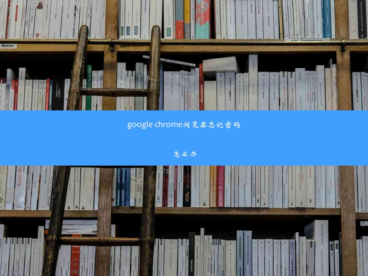 google chrome浏览器忘记密码怎么办